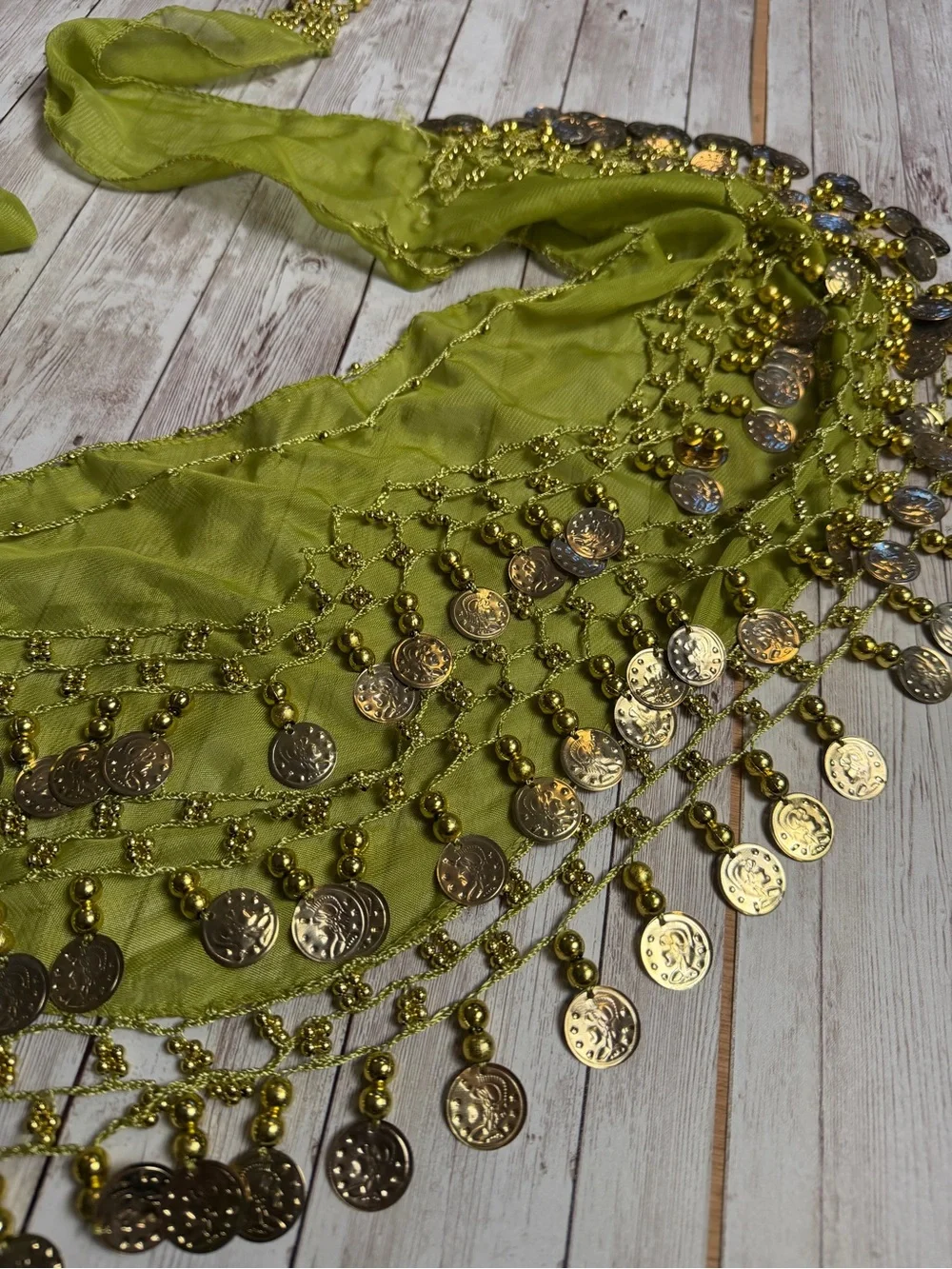 Green Coin Fringe Belly Dance Hip Scarf - Picture 4 of 6